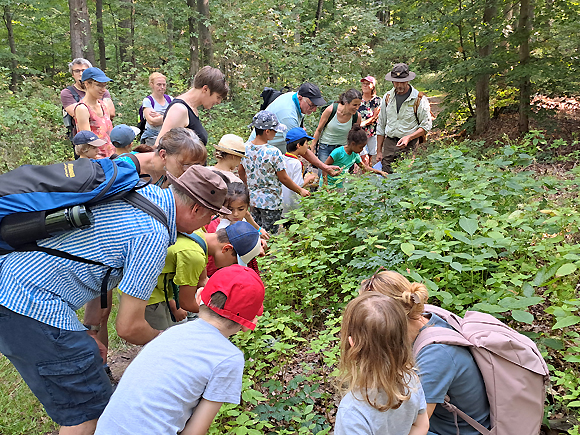 Waldtag mit dem Ranger am 13.08.2025
