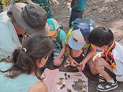 Waldtag mit der Umweltpädagogin am 13.08.2025